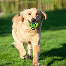 Load image into Gallery viewer, Prospera Mercantile™ - Dog Giggle Ball
